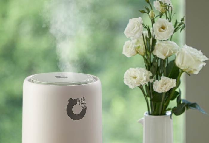 冬季家居，加濕器選購(gòu)指南
